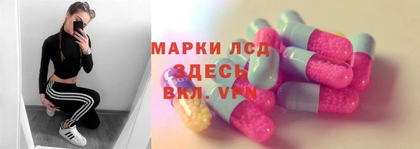 индика Михайловка