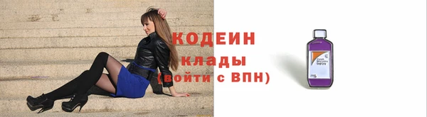 индика Михайловка