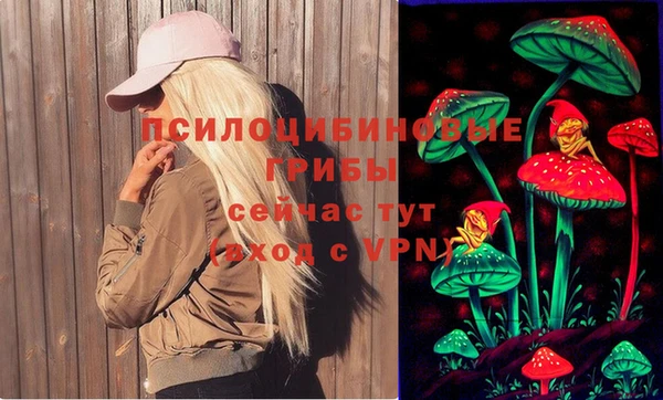 стаф Михайлов